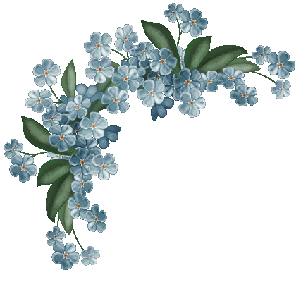 Forget Me Not Png Hd - Forget Me Not Png Hd Hdpng.com 437, Transparent background PNG HD thumbnail