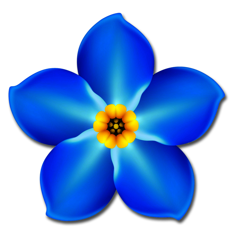 Forget Me Not Png Hd - Forget Me Not Png Hd Hdpng.com 774, Transparent background PNG HD thumbnail
