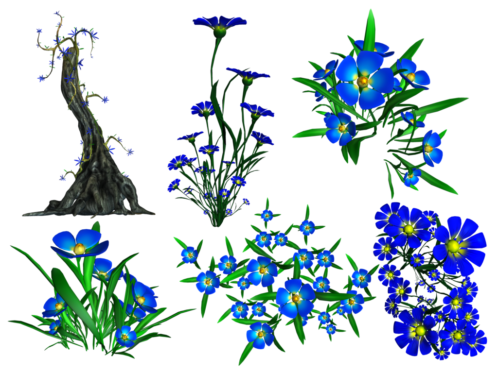 Forget Me Not Png Hd - Forget Me Not Png Stock By Roy3D Hdpng.com , Transparent background PNG HD thumbnail