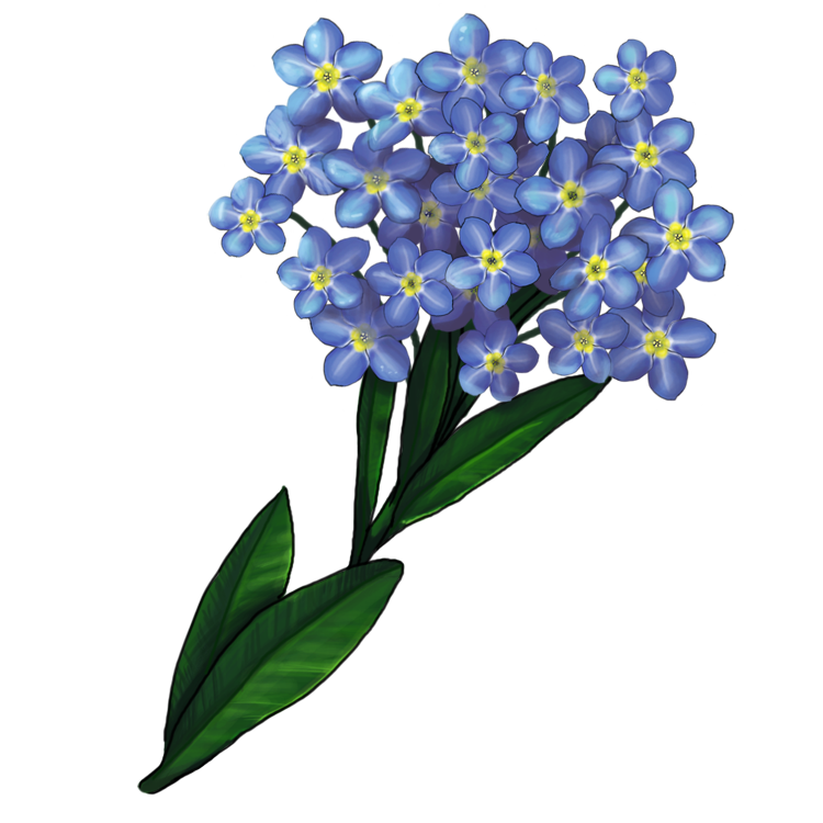 Forget Me Nots By Virtualonyx Hdpng.com  - Forget Me Not, Transparent background PNG HD thumbnail