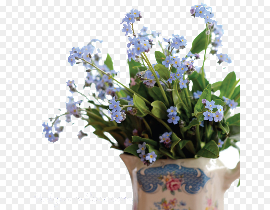 Scorpion Grasses   Forget Me Not Png Pic - Forget Me Not, Transparent background PNG HD thumbnail