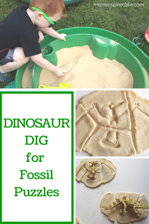 Fossil Dig Png - Dinosaur Dig For Fossil Puzzles, Transparent background PNG HD thumbnail