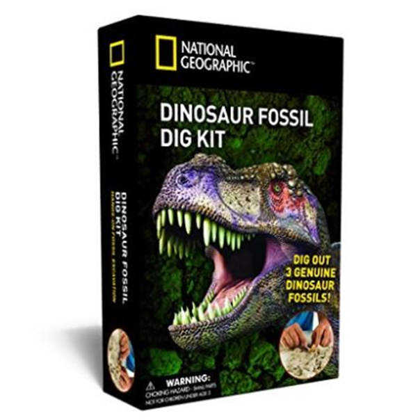Fossil Dig Png - National Geographic Dinosaur Fossil Dig Kit, Transparent background PNG HD thumbnail