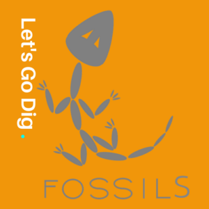 Ready For A Dig? - Fossil Dig, Transparent background PNG HD thumbnail