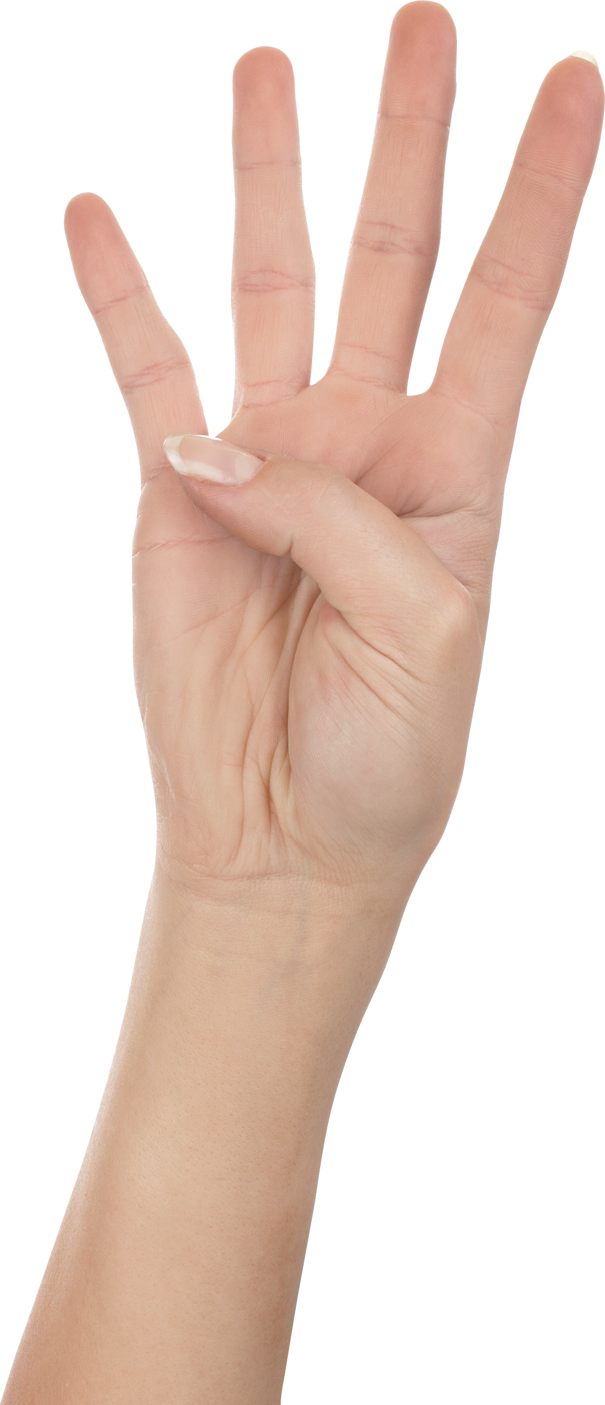 Four Fingers Png Image - Fingers, Transparent background PNG HD thumbnail