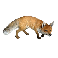 Fox Png 11 Png Image - Fox, Transparent background PNG HD thumbnail