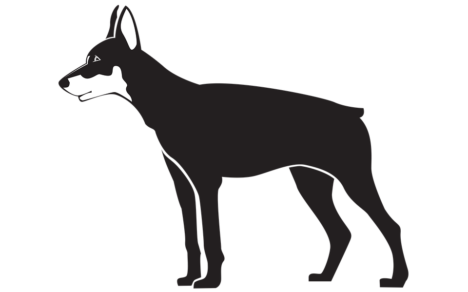 Black Dog Illustration Pet Silhouette Png - Black And White Of Dogs, Transparent background PNG HD thumbnail
