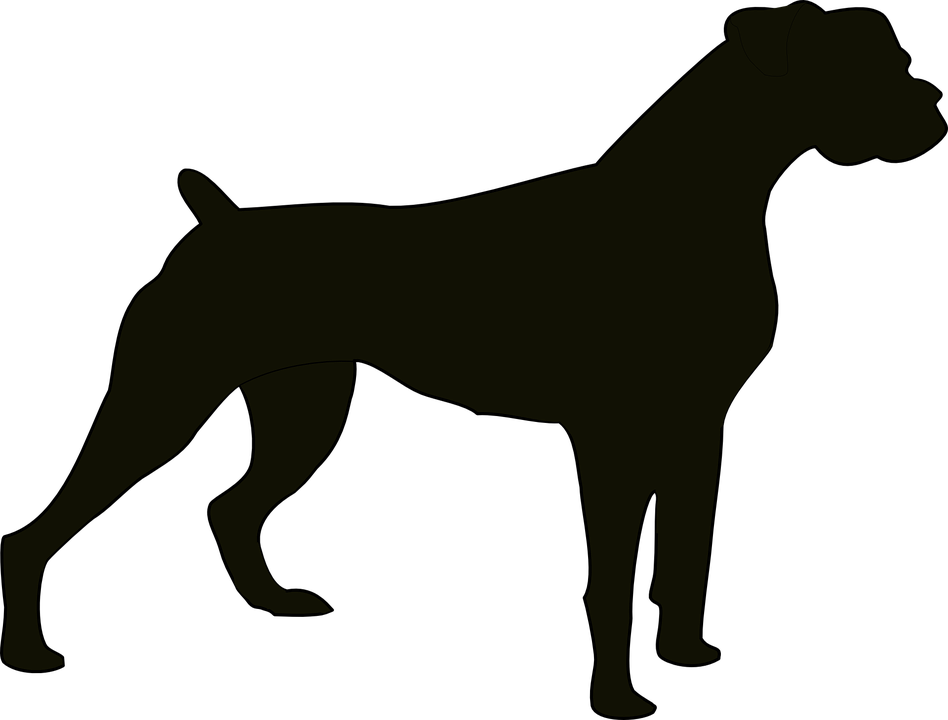 Dog Black Animal Bulldog Domestic Pet Canine - Black And White Of Dogs, Transparent background PNG HD thumbnail