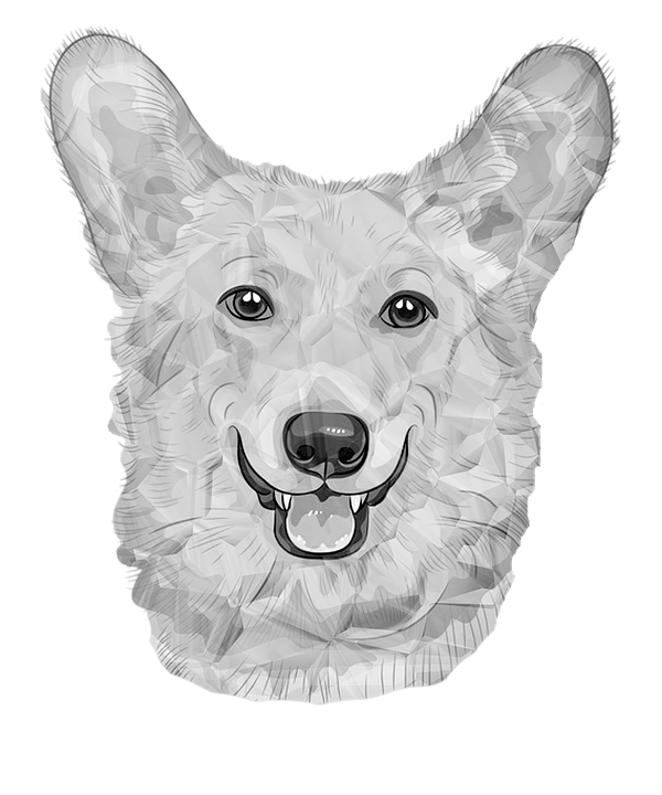 Dog German Dog White Dogs Black And White Poly - Black And White Of Dogs, Transparent background PNG HD thumbnail