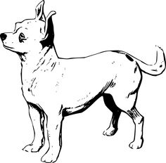 Free Chihuahua Png You Can Use To Make An Svg File. - Black And White Of Dogs, Transparent background PNG HD thumbnail