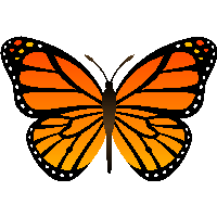 Free Butterfly Png Hd  - Orange Butterfly Png Image Butterflies Download Png Image, Transparent background PNG HD thumbnail