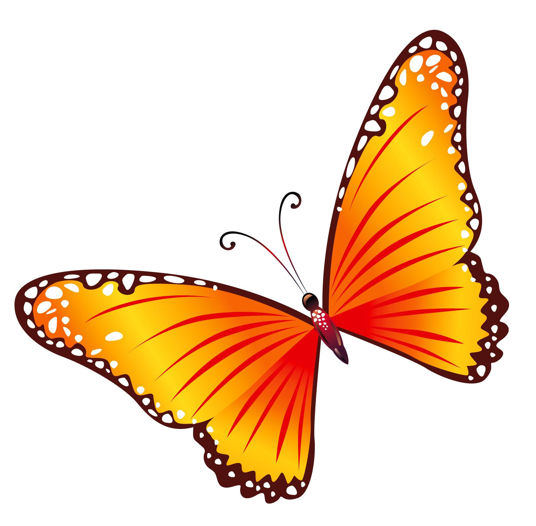 Free Butterfly Png Hd  - Transparent Orange Butterfly Png Clipart, Transparent background PNG HD thumbnail