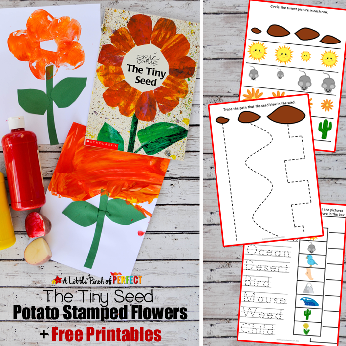 Flower Potato Stamping Craft And The Tiny Seed Free Printables: Make An Easy Painted Flower - Eric Carle, Transparent background PNG HD thumbnail