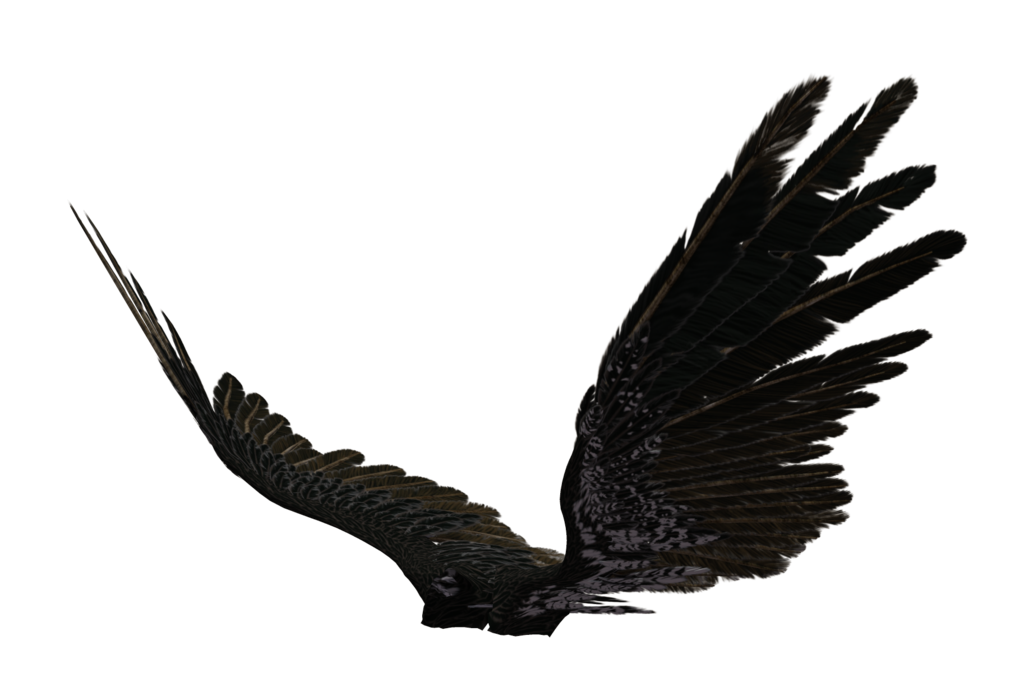 Free Icons Png:dark Angel Wings Png - Dark Angel, Transparent background PNG HD thumbnail