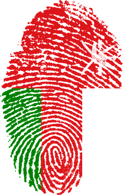 Free Illustration: Oman, Flag, Fingerprint, Country   Free Image On Pixabay   655087 - Oman, Transparent background PNG HD thumbnail