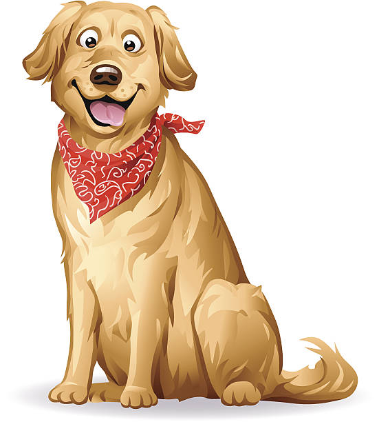 Golden Retriever Vector Art Illustration - Labrador Retriever, Transparent background PNG HD thumbnail