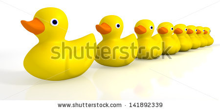 A Row Of Organized And Ready Yellow Rubber Bath Duck Toys On An Isolated Background - Ducks In A Row, Transparent background PNG HD thumbnail
