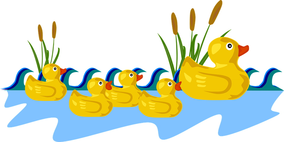 Free Png Ducks In A Row - Duck, Swimming, Toy, Rubber, Babies, Transparent background PNG HD thumbnail