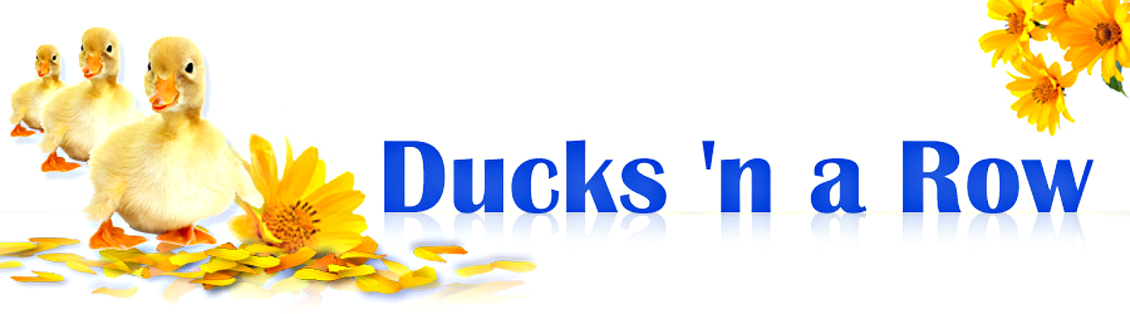 Free Png Ducks In A Row - Ducks U0027N A Row, Transparent background PNG HD thumbnail