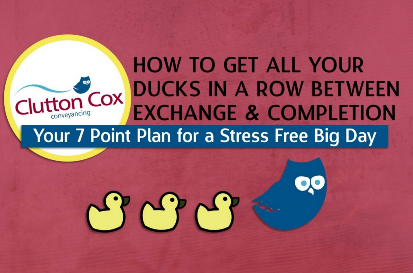 How To Get All Your Ducks In A Row Between Exchange And Completion. Your 7 Point Plan For A Stress Free Big Day When You Move Home - Ducks In A Row, Transparent background PNG HD thumbnail