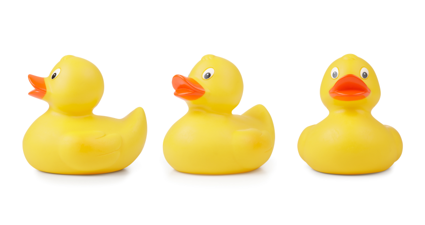 Your Ducks In A Row - Ducks In A Row, Transparent background PNG HD thumbnail