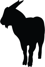 Goat Silhouette - Goat, Transparent background PNG HD thumbnail