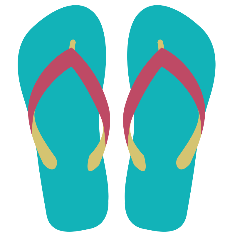 Flip Flops, Sandals, Footwear
