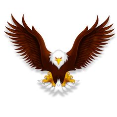 Eagle - Of Eagles, Transparent background PNG HD thumbnail