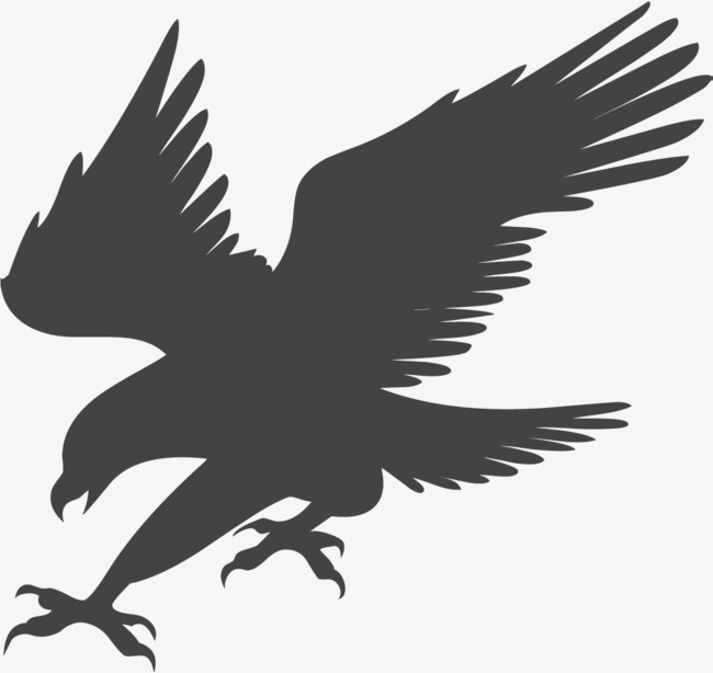 Eagle Hunting, Eagle Soaring, Fly High, Eagles Fly Png And Vector - Of Eagles, Transparent background PNG HD thumbnail