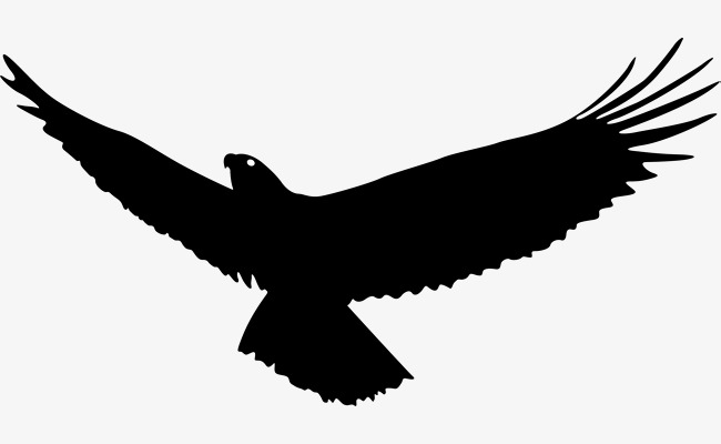 Eagle Wings, Eagle Soaring, Fly High, Eagles Fly Png And Vector - Of Eagles, Transparent background PNG HD thumbnail