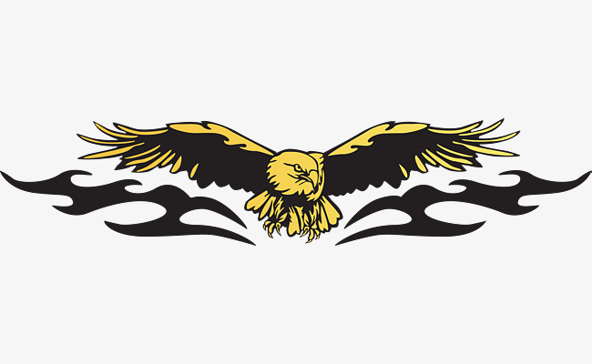Golden Eagle, Eagle Soaring, Fly High, Eagles Fly Png And Vector - Of Eagles, Transparent background PNG HD thumbnail