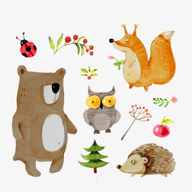 Vector Zoo, Hd, Vector, Bear Free Png And Vector - Zoo Animals, Transparent background PNG HD thumbnail