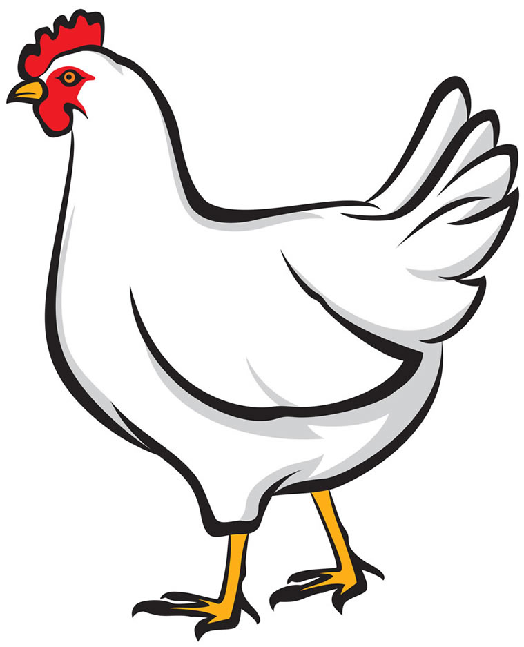 Hen Icon - Hen, Transparent background PNG HD thumbnail