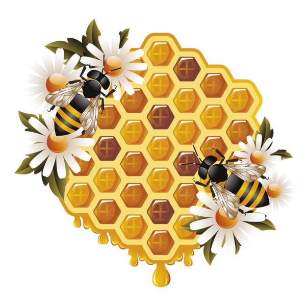 Free Png Honey Bee - Honey Bees Clipart Eps Vector Drawings Available To Search From Thousands Of Royalty Free Illustration Providers., Transparent background PNG HD thumbnail
