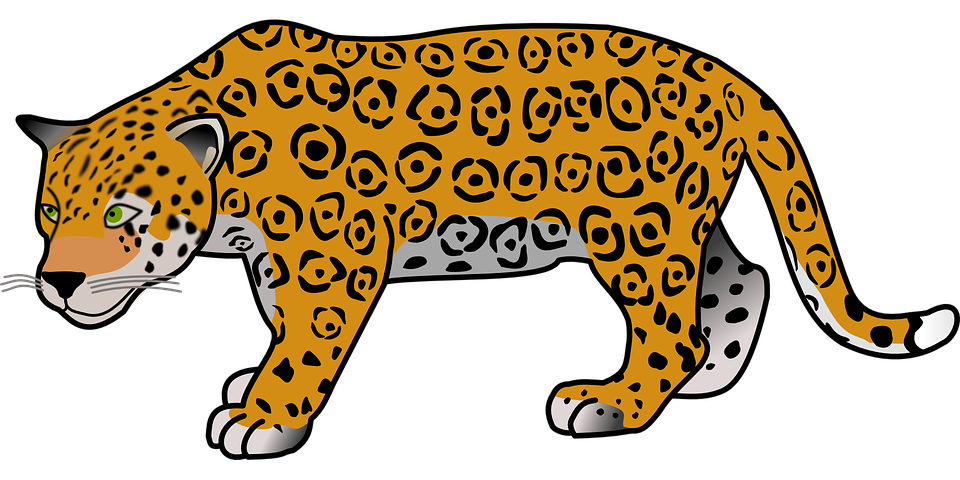 Animal, Jaguar, Dangerous, Mammal, Safari, Wild - Jaguar, Transparent background PNG HD thumbnail
