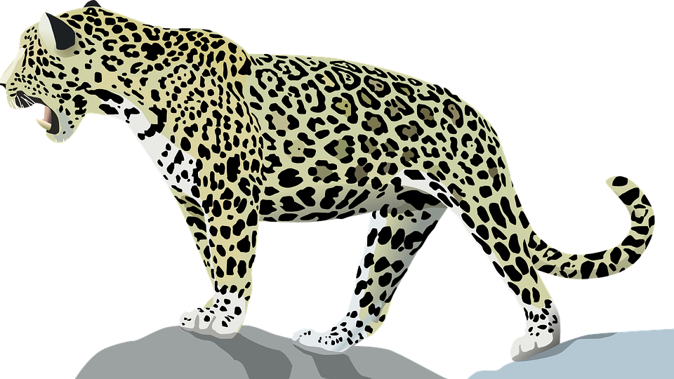 Jaguar, Animal, Cat, Wild, Hdpng.com  - Jaguar, Transparent background PNG HD thumbnail