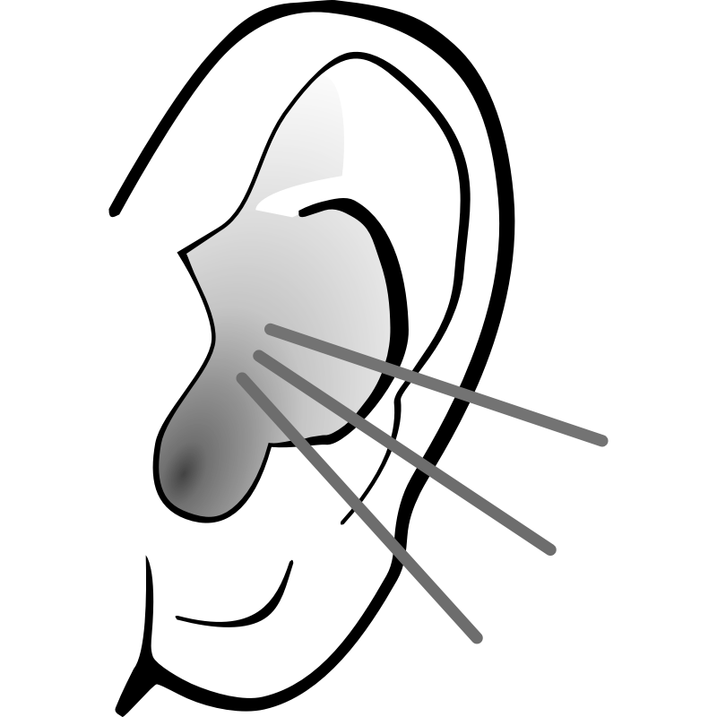 Listening Ear Clipart 2 - Listening Ear, Transparent background PNG HD thumbnail