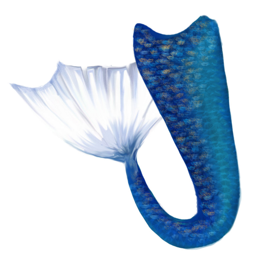 Free Png Mermaid Tail 16005 By Deniseworisch Hdpng.com  - Mermaid, Transparent background PNG HD thumbnail