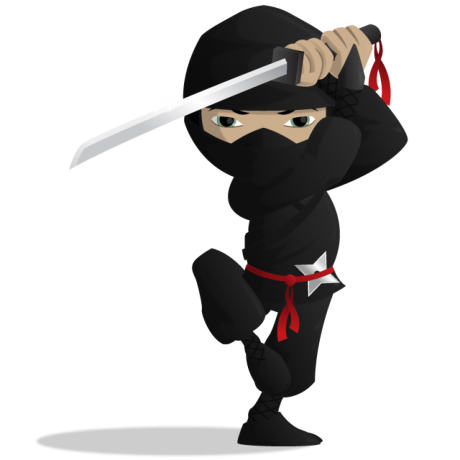 Ninja Png - Ninja, Transparent background PNG HD thumbnail