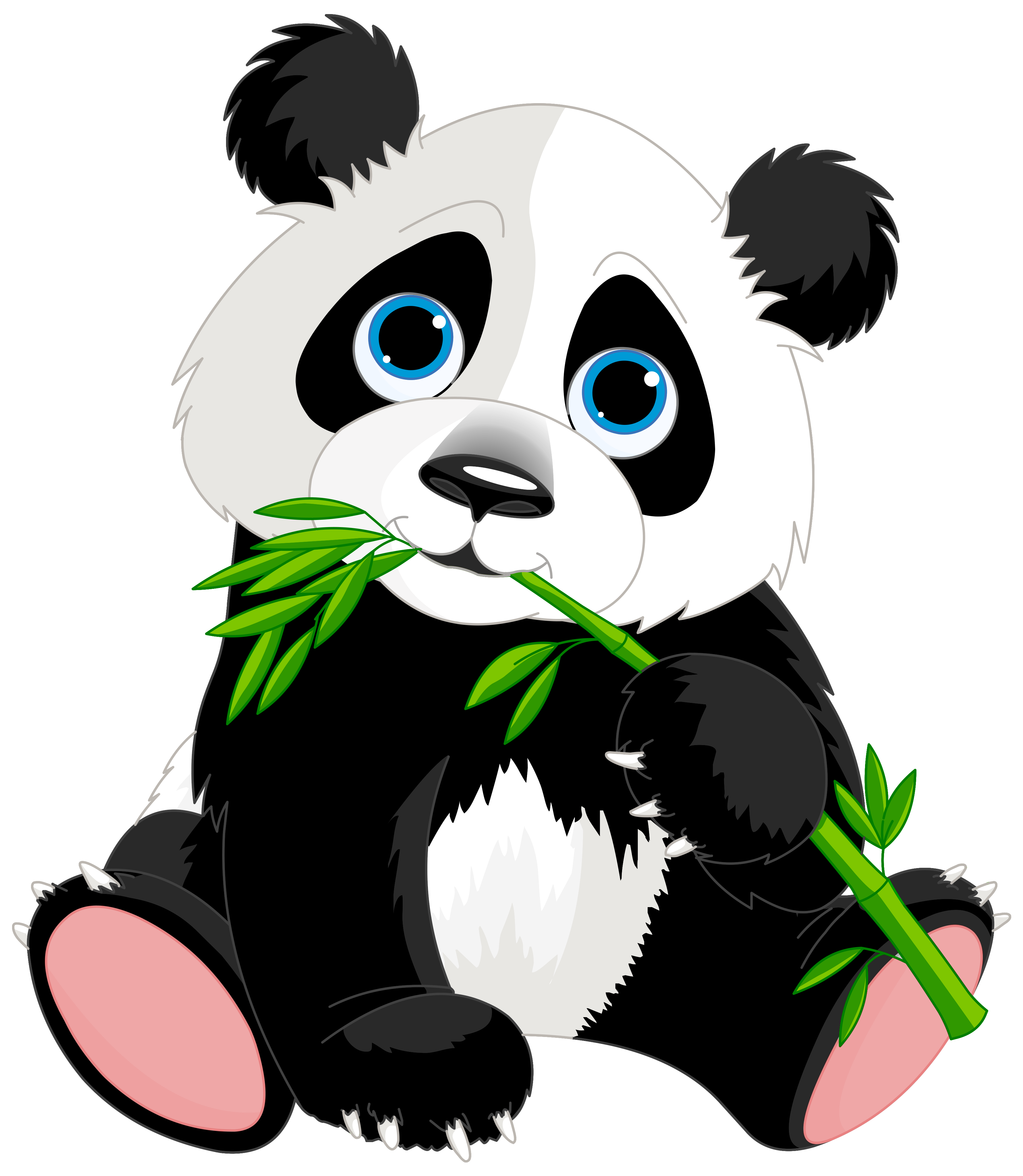 Panda Png - Of Bears, Transparent background PNG HD thumbnail