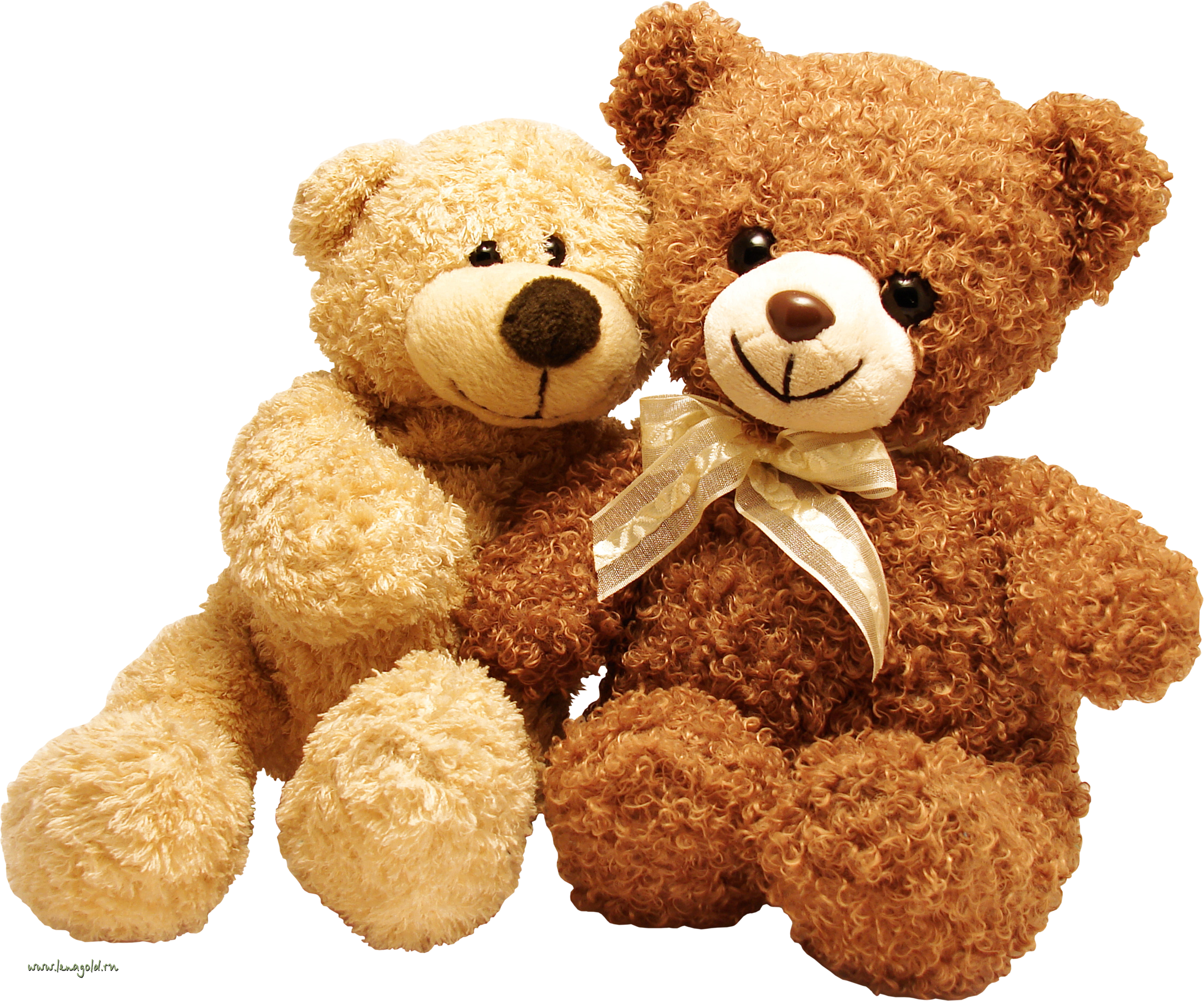 Download PNG image - Teddy Be