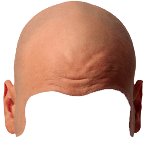 Bald Head Transparent Background - Of Body Parts, Transparent background PNG HD thumbnail