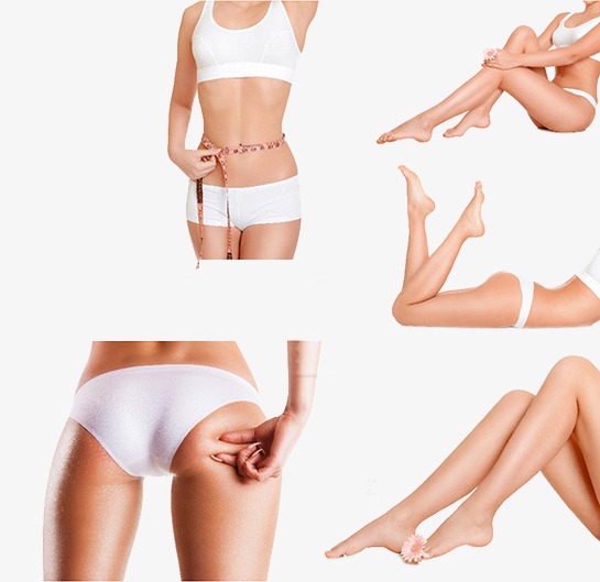 Good Shape, Lose Weight, Slimming, Body Parts Png Image And Clipart - Of Body Parts, Transparent background PNG HD thumbnail