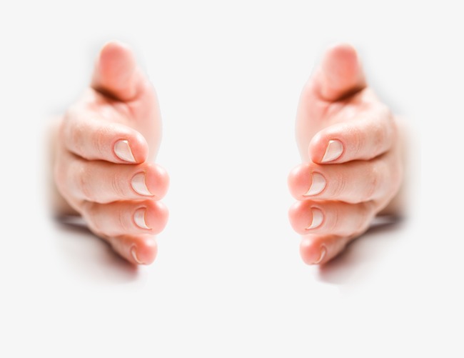 Hands, Symmetry, Human Body Parts Png And Psd - Of Body Parts, Transparent background PNG HD thumbnail