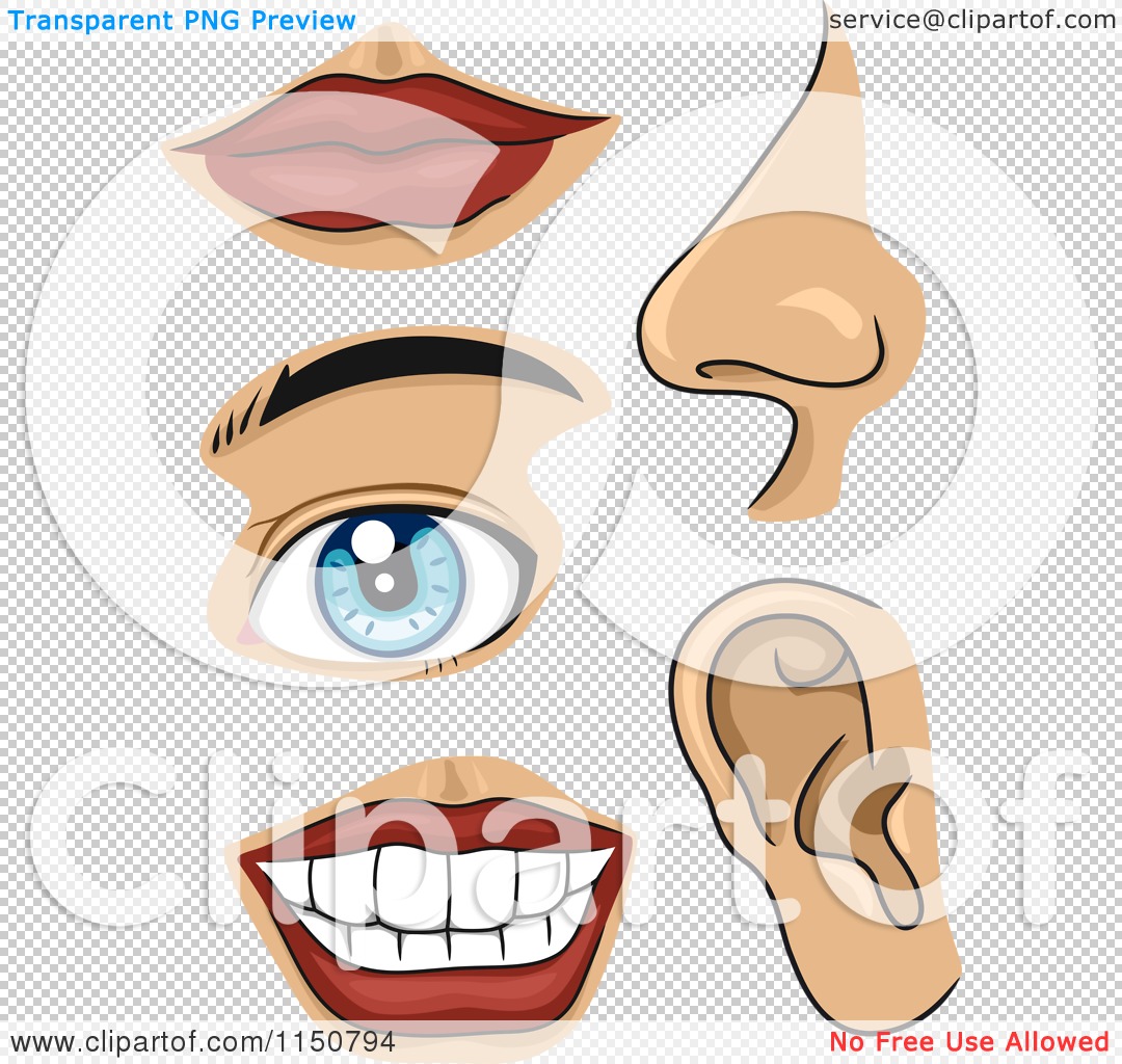 Png File Has A Hdpng.com  - Of Body Parts, Transparent background PNG HD thumbnail