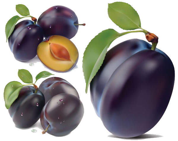 Fruit plums Free PNG