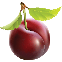 Png Plum clipart - Plum Fruit