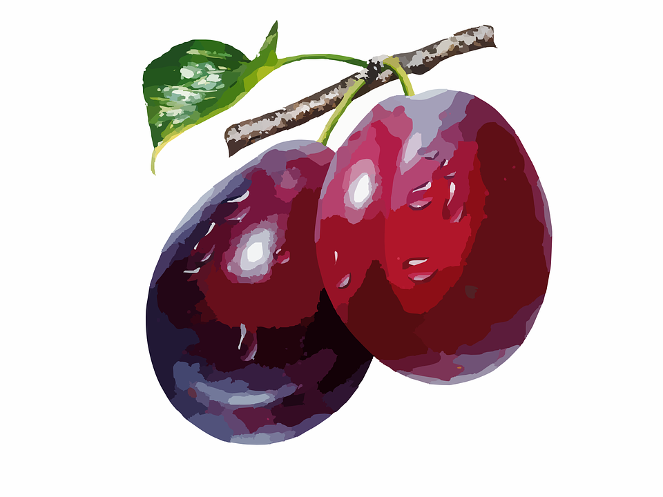 Plums, Food, Fruit, Ripe, Berry, Red, Organic, Sweet - Plums, Transparent background PNG HD thumbnail