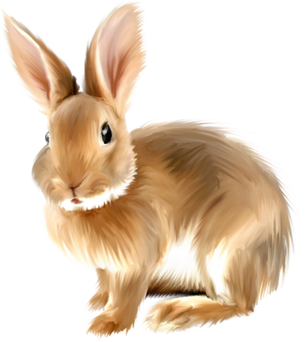 Bunny Rabbit Clipart Free Graphics Of Rabbits And Bunnies Clipartcow   Clipartix - Rabbits Bunnies, Transparent background PNG HD thumbnail