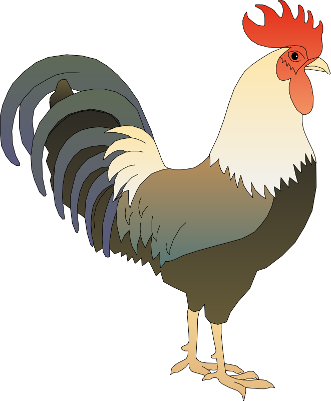 Free To Use Amp Public Domain Rooster Clip Art - Rooster, Transparent background PNG HD thumbnail